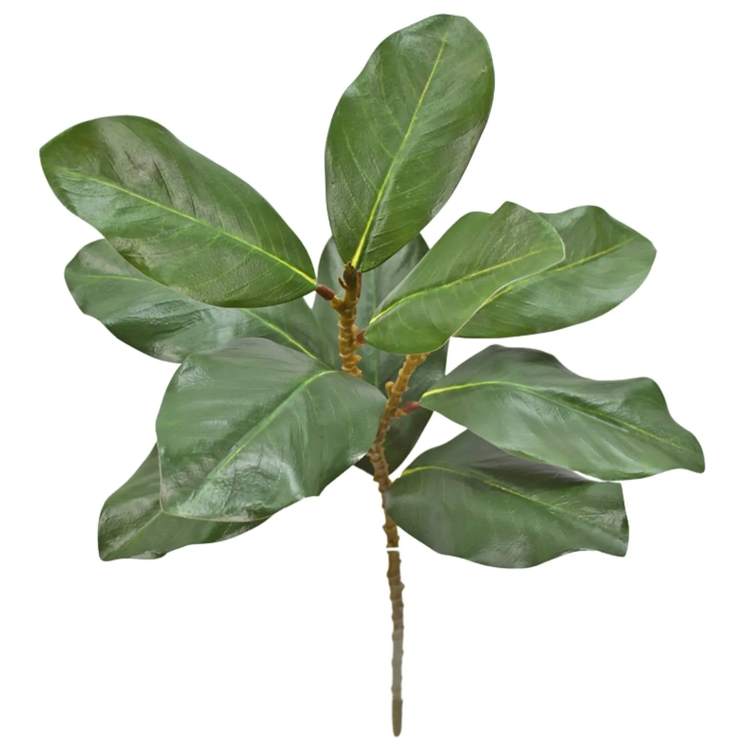 22.5" Green Magnolia Spray PA4452 GRN