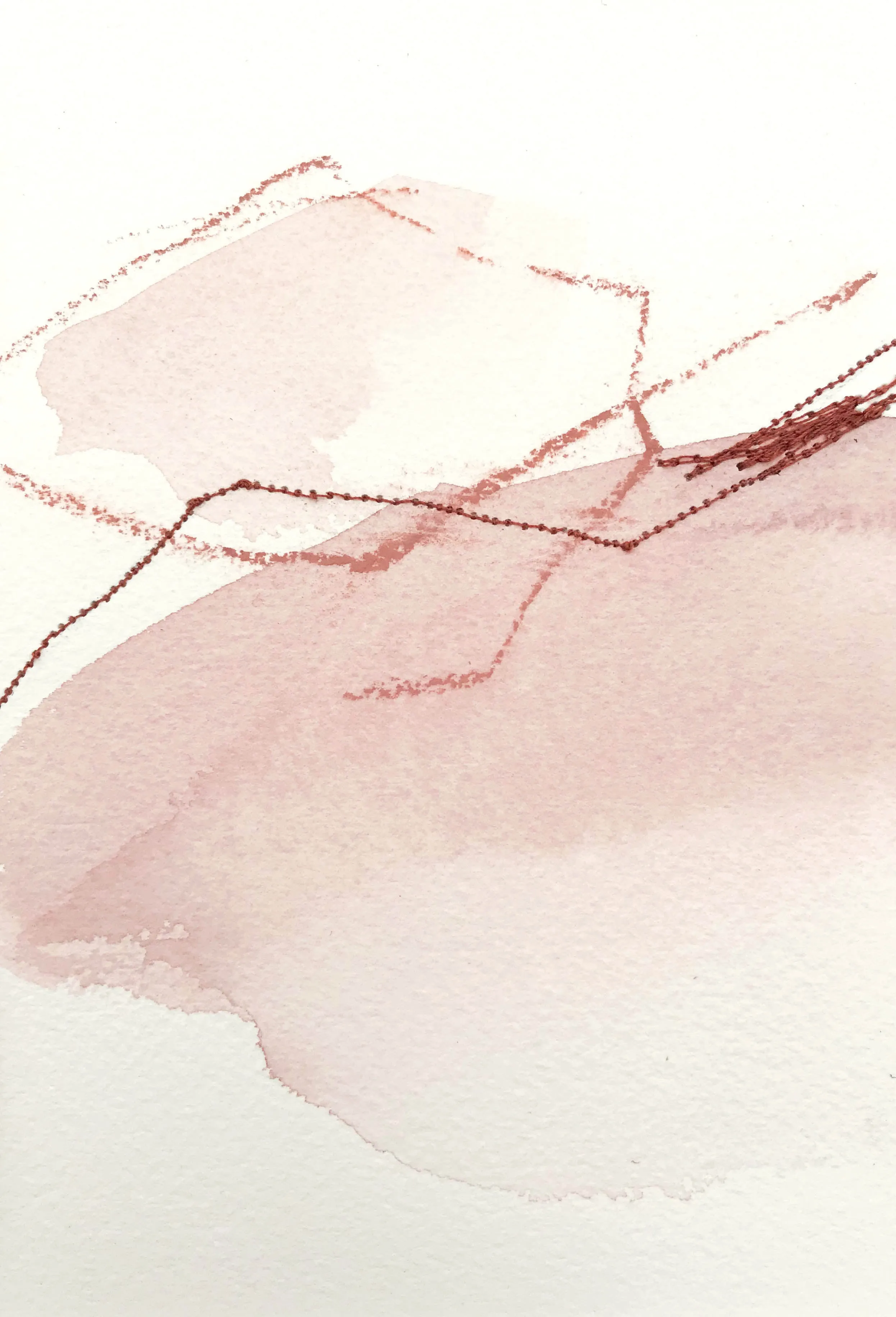 Color Study in Blush Pink