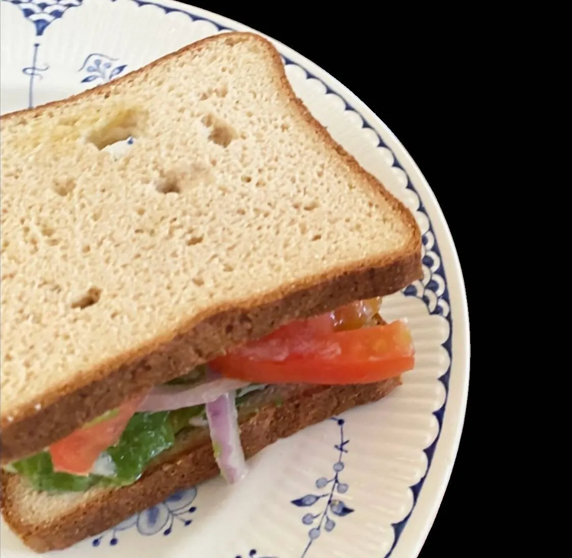 Grain Free Planet Keto Sliced Sandwich Loaf Case