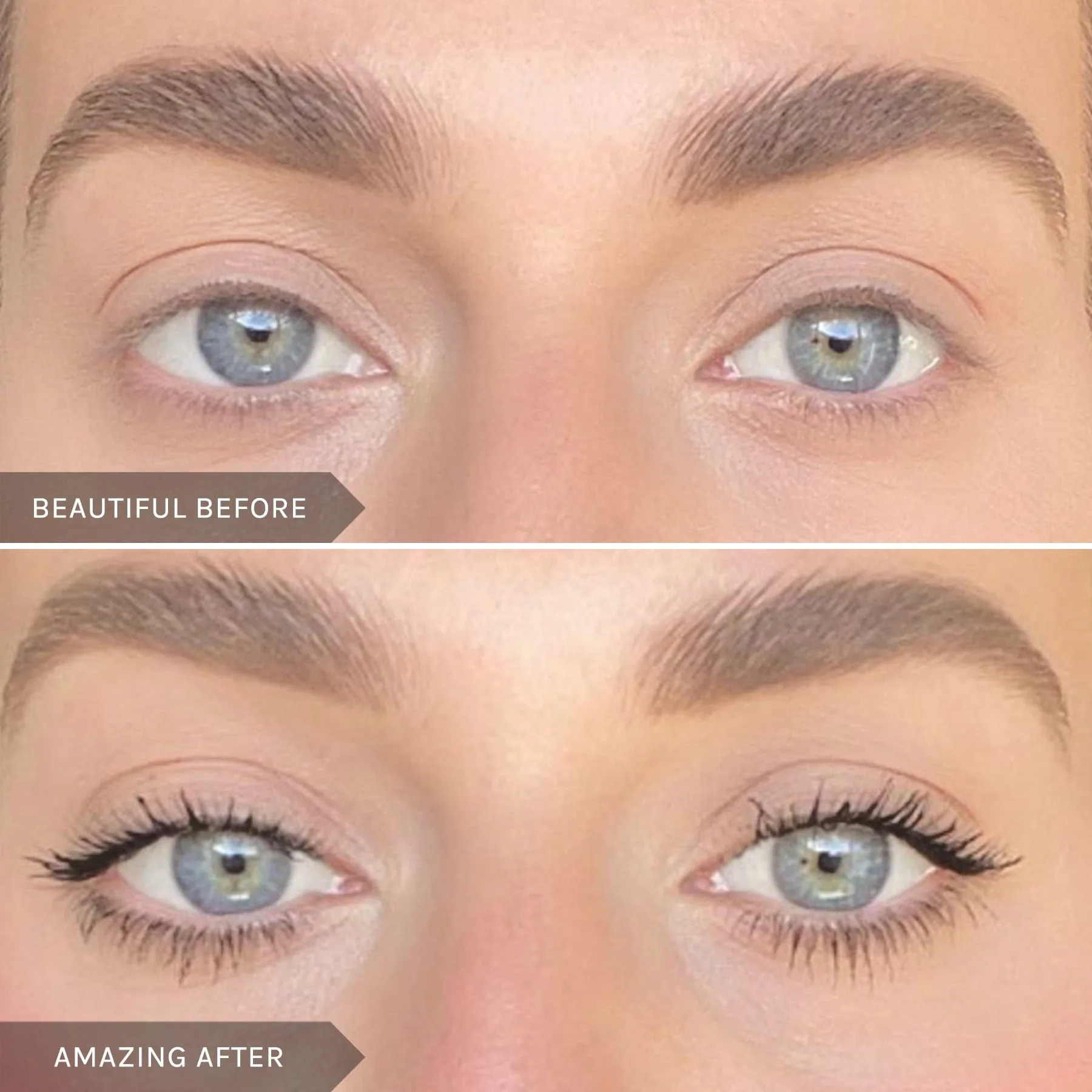 Lash Whip Mascara 24hr Root Tightliner   Liner Black
