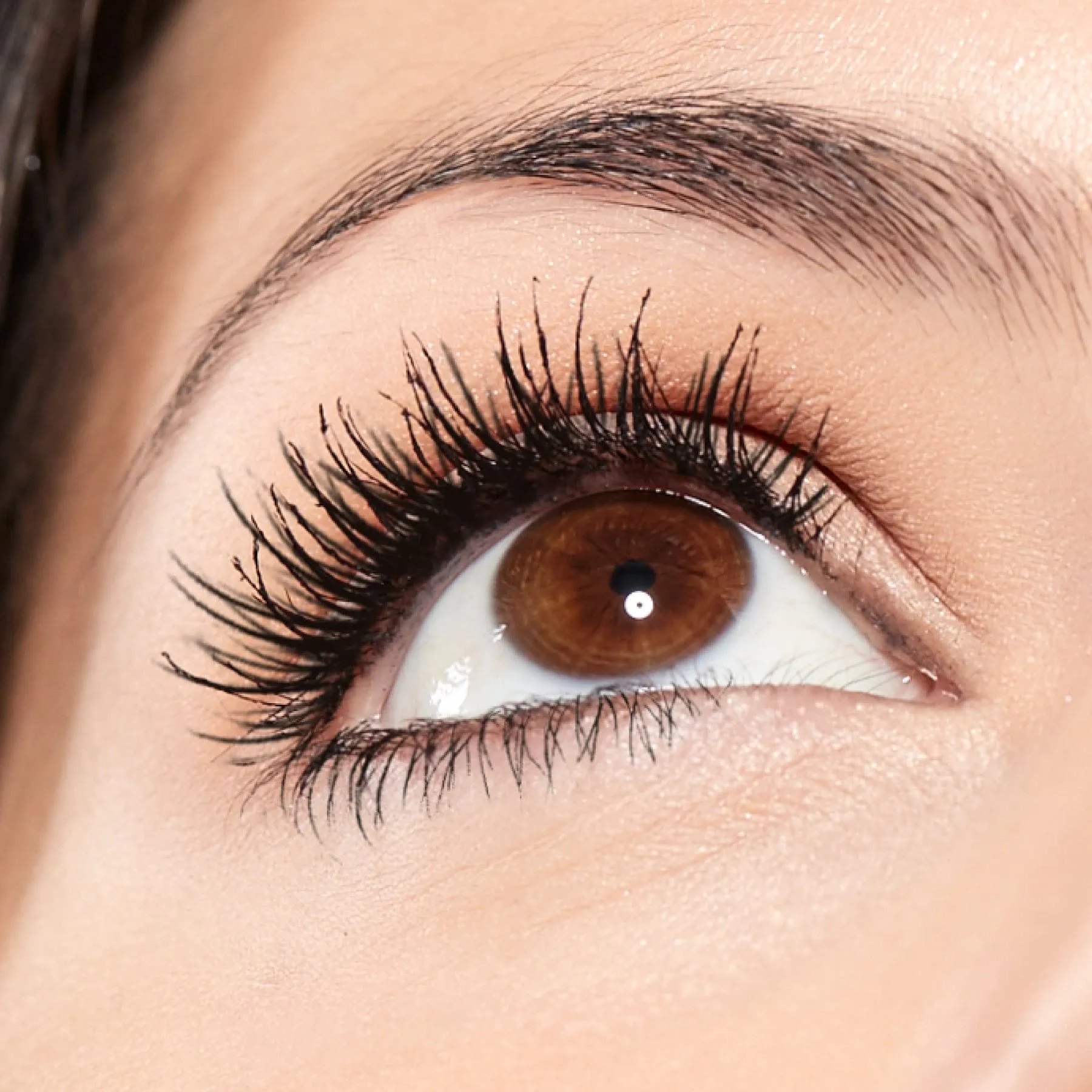 Lash Whip Mascara 24hr Root Tightliner   Liner Black