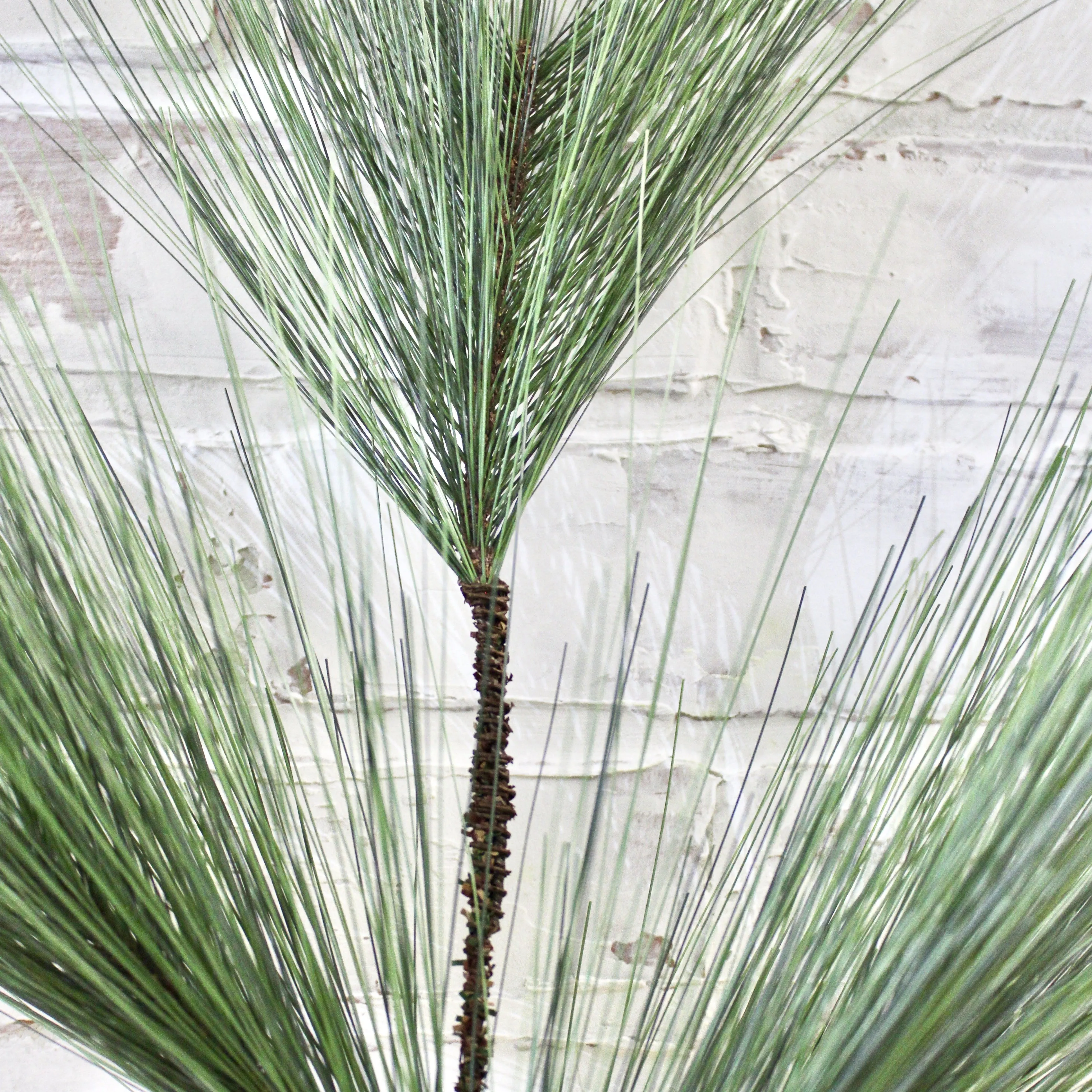 White Pine Branch