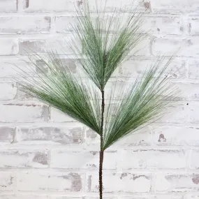 White Pine Branch